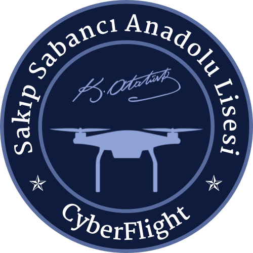 CyberFlight Logo